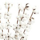 6 Pack 27 Inch Cotton Stems Farmhouse Decor Rustic Style Vase Filler Floral Z4V4