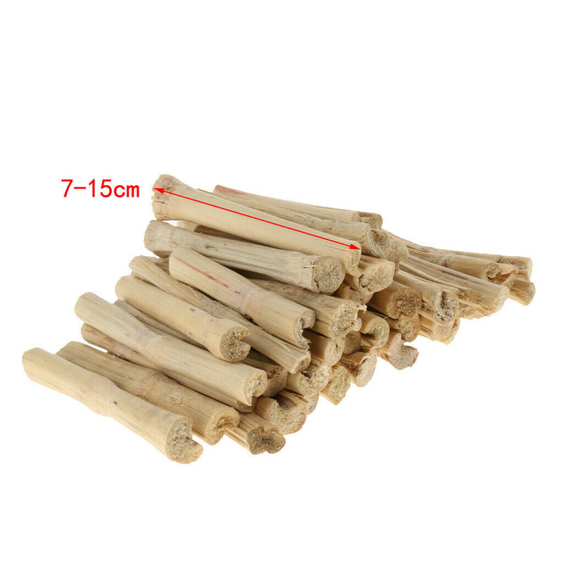 Natural Sweet Bamboos Chew Toys Small Animals Snacks for Rabbits Hamster