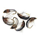 6Pcs