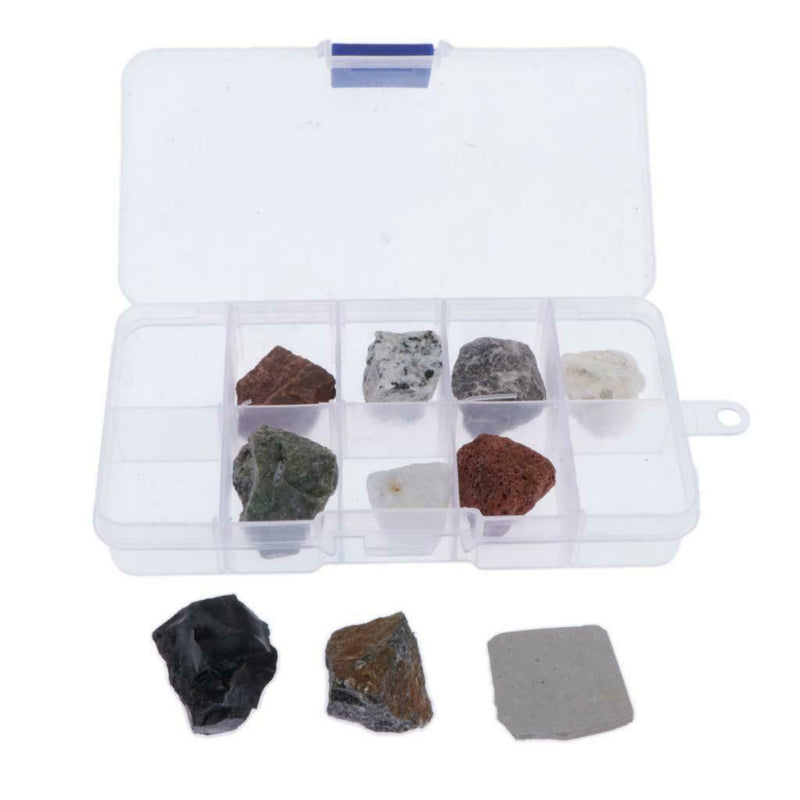10pcs Rock Mineral Stone Collection Educational Geology Science Specimens