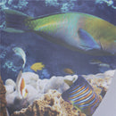 fish Ocean View windows wall door stickers for washing machine decor wall  OZ