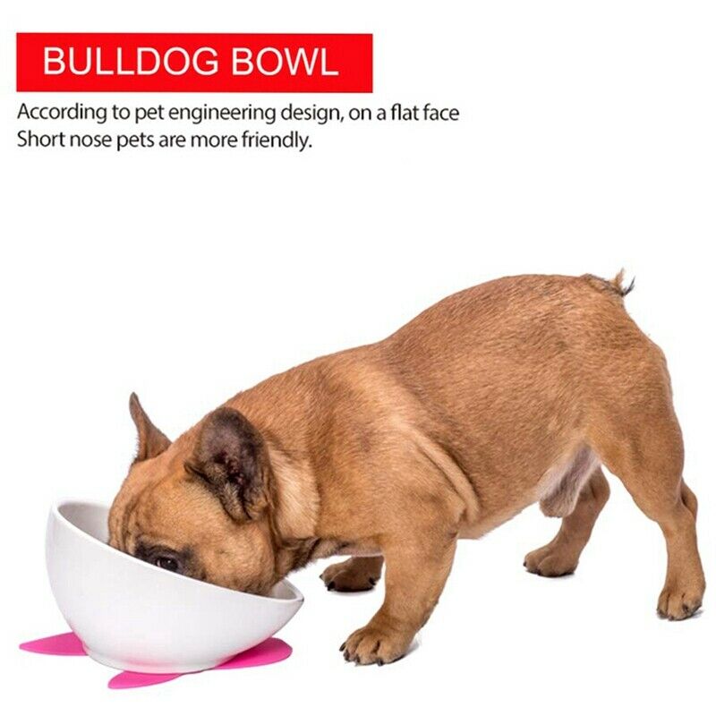 Dog Feeding Bowls,French Bulldog Yellow striped cat Ceramic Feeding Dishs F