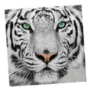 Full White Tiger 5D Diamond Painting Kit Embroidery Cross Stitch Arts Crafts