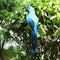Set of 4 Feathered Realistic Parrot Home Garden Birds Decor Ornament