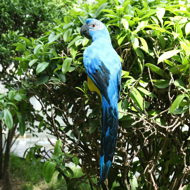 Set of 4 Feathered Realistic Parrot Home Garden Birds Decor Ornament
