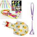 Harness Leash with Adjustable and Bite Resistant Design and Cockatiel Parrot
