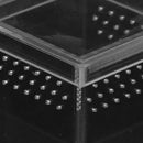 Acrylic Clear Insect Reptile Breeding Feeding Box - Ventilated