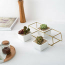 Nordic Simple Wrought Iron Flower Pot Set Three Pots One Shelf Square Ceram D4J2