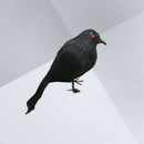 Spooky Black Feathered Lifelike Scary Halloween Raven Crow Prop Decor for G J1Y9