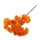 Artificial Fruit Succulent Grass Plant Desert Landscape Flower Decor Orange