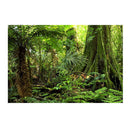 Aquarium   Tank Background Poster Rainforest Landscape Decor 60x100cm