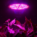 LED Grow Light Bulb Hydroponics Full  Indoor Plant Veg Flower 30W