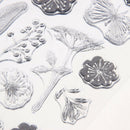 Transparent Clear Stamp DIY Silicone Seals Scrapbooking Card 30