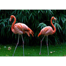 Full Drill Rhinestone Picture DIY Animals Diamond Painting Poster (LD624)