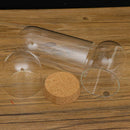 Glass Display Cloche Bell Jar Plants Flower Preservation Vase Wood Cork L