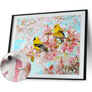 DIY Digital Oil Painting By Numbers Kit Two Birds on Branch Drawing Picture