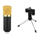 Audio Dynamic USB Podcast Condenser miniphone PC Recording MIC + Stand Trip
