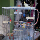 7'' Pet Parrot Supply Wood Corner Shelf Laddered Platform C For Birds Stand E3I4