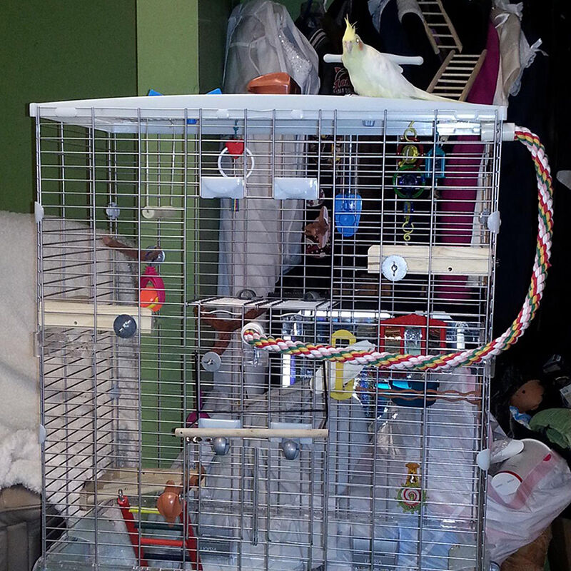 7'' Pet Parrot Supply Wood Corner Shelf Laddered Platform C For Birds Stand E3I4