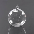 Hanging Glass Flower Vase Bottle Hydroponic Terrarium Container Decor - 8cm P9W4