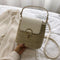 Straw Weave Women Bucket Handbags Summer Beach Totes Shoulder Bags (White)