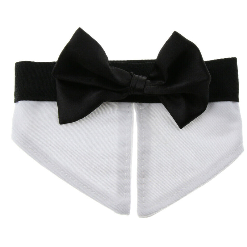 Adjustable Pet Dog Collar Special Designed Collars for Dogs Cats White L