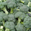 100pcs Ding Green Broccoli Seeds Vegetable Green Broccoli Seeds Nutritious LJ
