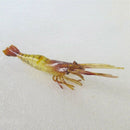 10Pcs Shrimp Soft Lures 10cm 4g Smell Simulation Jig Fishing Lures Isca Art C4L4