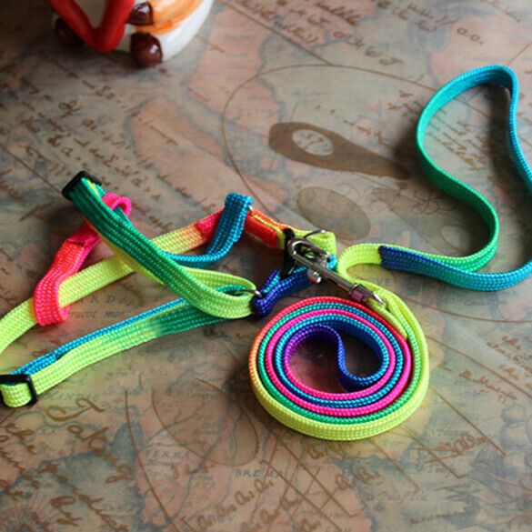 Strengthen Colorful Pets Puppy Lead Harness Leash Traction Rope Nylon A#S