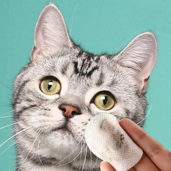 260pcs/box Pet Ear Wipes Soft Gentle Dog & Cats Presoaked Cleaning Grooming Pads