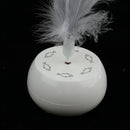 Funny Chasing Irresistible Stimulating Electric Rotating Toys for Dog Cat