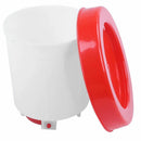 1L Plastic Poultry Chick Drinking Chicken Feeder Drinker