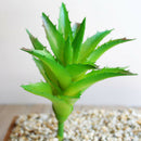 Lifelike Artificial Succulent Home Office DIY Unpotted Faux Foliage Plant