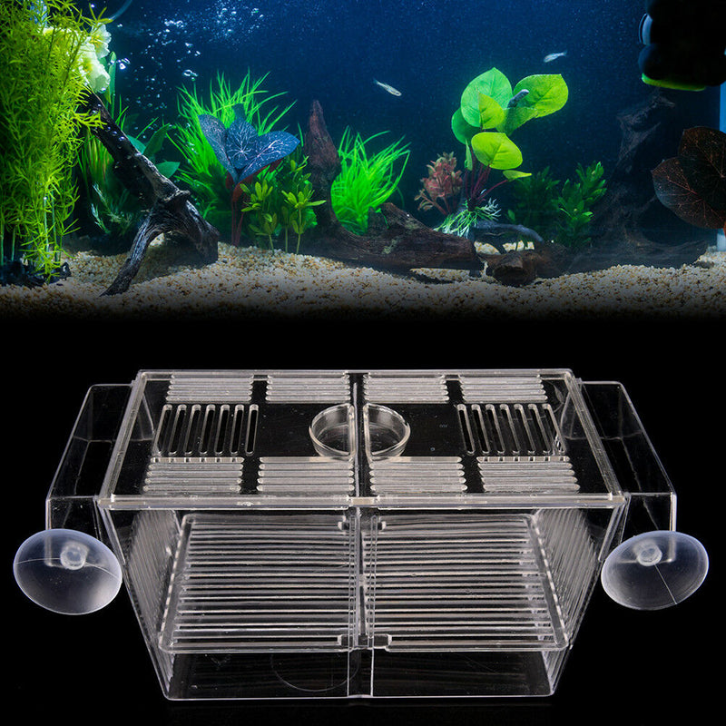 Fish Breeding Hatchery Young Fish Incubator Aquarium Breeder Isolation Box FT