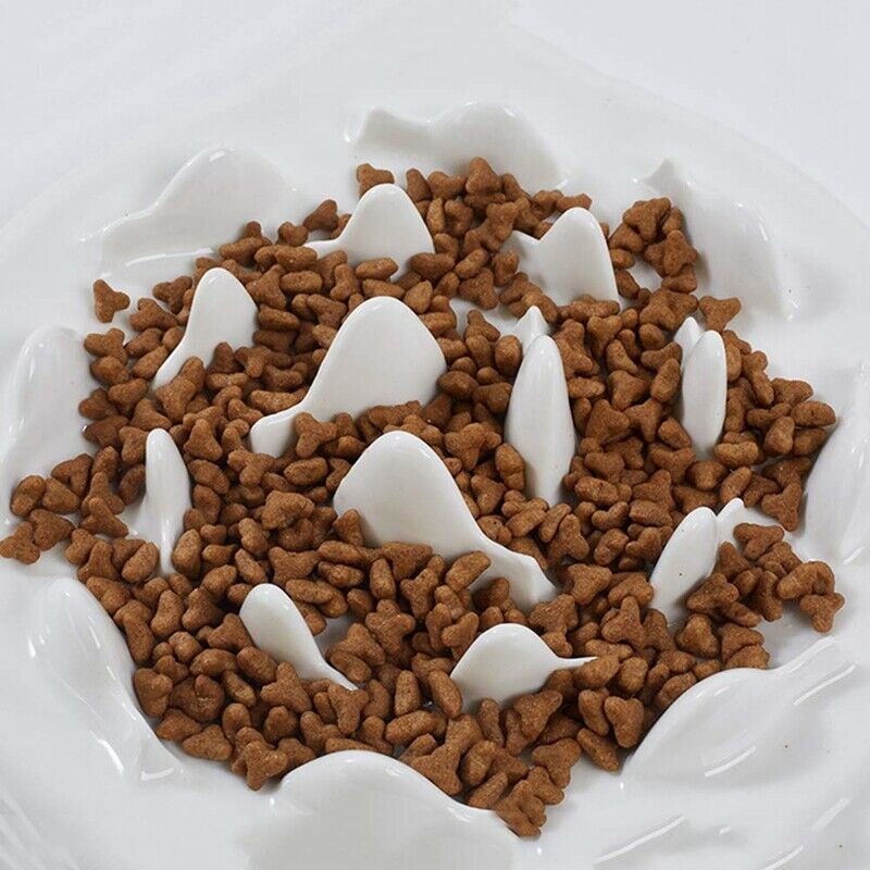 Slow Feeder Bowl, Ceramic Fun Interactive Feeder Bloat Stop Cat Bowl Preven