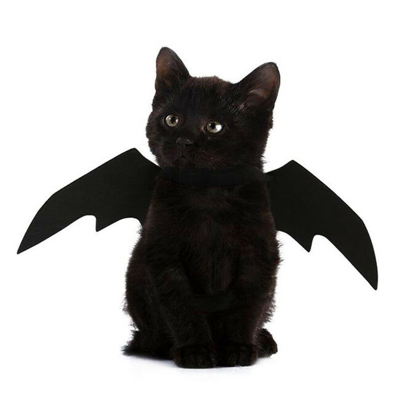 Lovely for small pet dog cat bat wings halloween wings halloween costume fw TS3C
