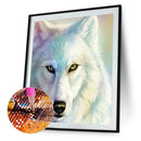 White Fur Wolf Staring Full Round Rhinestone DIY Diamond Painting 30x40cm
