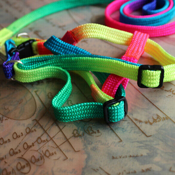 Strengthen Colorful Pets Puppy Lead Harness Leash Traction Rope Nylon