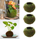 9cm Diameter Moss Weaved Ball Shape Flower Pot Succulent Planter Basket Green,