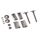 KibbleWhite Precision Intake Only Stainless Conversion Valve/spring kit