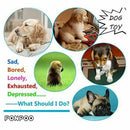 Indestructible Dog Toys For Aggressive Chewers 100% Safe Best Small Medium  M6P8