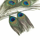 Woman Fashion Ear Jewelry Accessories Dangle Earrings Peacock Pendant Gift