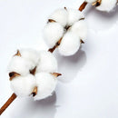 6 Pack 27 Inch Cotton Stems Farmhouse Decor Rustic Style Vase Filler Floral