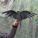 Halloween prop feathers Crow bird large 25x40cm spreading wings Black Crow  H5R8