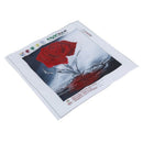 5D DIY cross stitch diamond painting home decoration 30 * 30 cm, water Rose