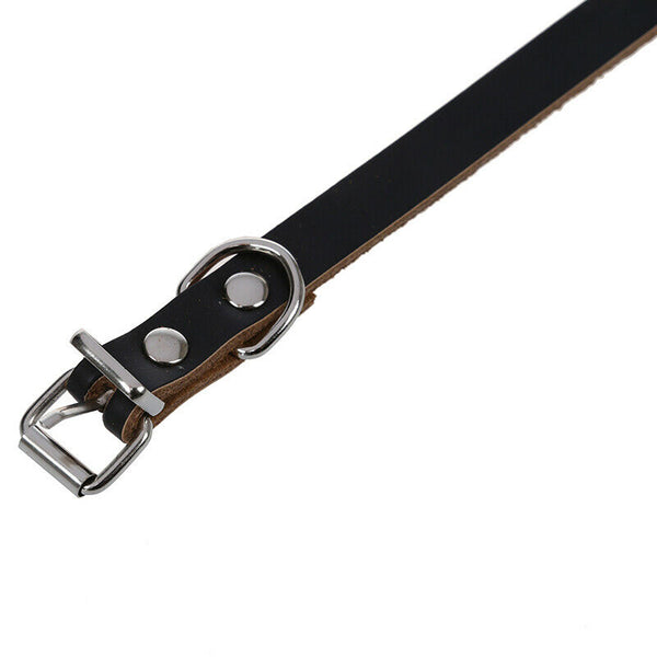 Leather collar for dogs cats puppy pet S Black