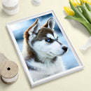 Full Round Drill Diamond Painting 5D DIY Dog Animal Mosaic Decor (Nx071)