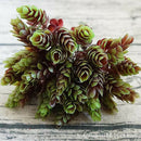 Pack 6 Creative Artificial Pine Nuts Plant Home Wedding Garden Decor B