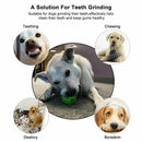 Dog Tooth Cleaning Balls,Chewing Food Toys Ball Non-Toxic Soft Rubber Ball  M8Q2