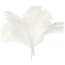 10 pcs Natural Ostrich Feathers Wedding Party Decoration White 40-45cm Y1V6